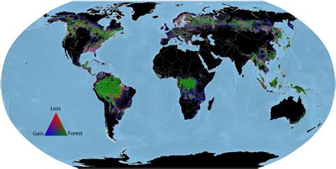 Researchers create global map of world's forests circa 1990