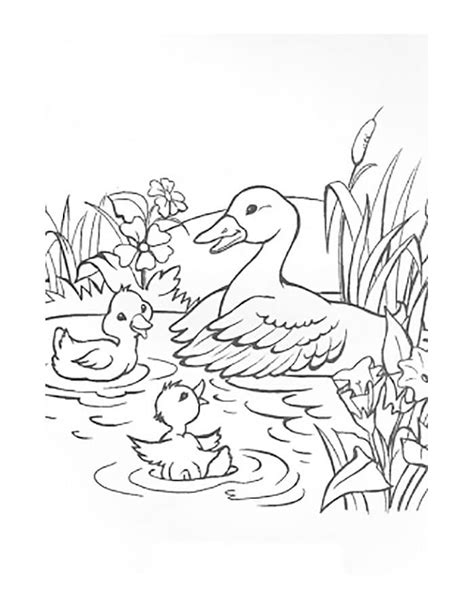 Mother duck and ducklings coloring page in 2023 | Horse coloring pages ...