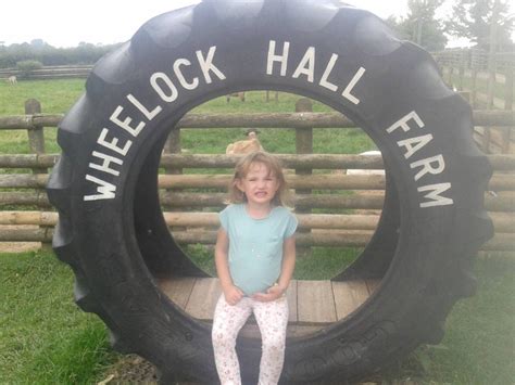 Wheelock Farm, Sandbach - A 'wheely good day out' - Mini Travellers - Family Travel & Family ...