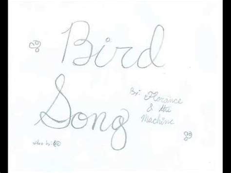 Bird Song-Florence and the Machine(lyric video) - YouTube