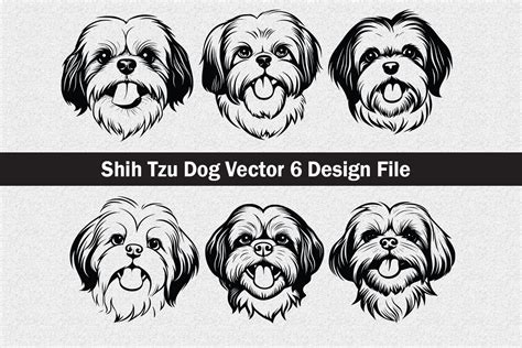 Shih Tzu Dog Vector SVG Graphic by Jennadesignsstore · Creative Fabrica