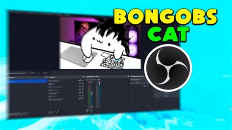 Cómo INSTALAR y CONFIGURAR Bongobs Cat EN OBS, y PERSONALIZARLO - YouTube