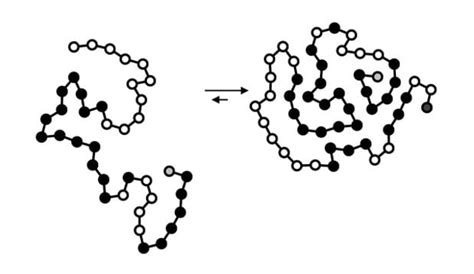 Protein Folding | ChemTalk