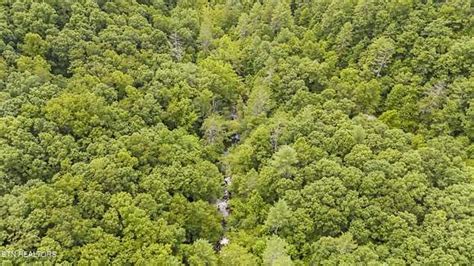 20.57 Acres of Recreational Land for Sale in Oneida, Tennessee - LandSearch