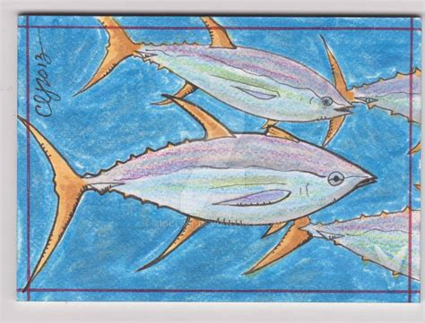 Yellowfin Tuna Sketch Card by BigClint on DeviantArt