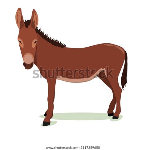 11,905 White And Brown Donkey Images, Stock Photos & Vectors | Shutterstock