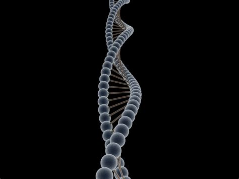 Electron Microscope Dna