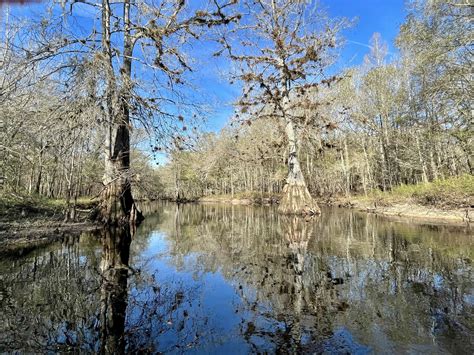 Withlacoochee River is a gorgeous Florida kayaking trail