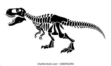 T rex 恐龙骨架负空间剪影插图。史前生物骨头孤立的单色剪贴画。危险的古代捕食者、霸王龙化石设计元素 库存矢量图（免版税 ...