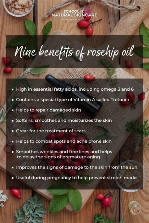 9 Natural Benefits of Rosehip Oil for Your Skin - School of Natural ...