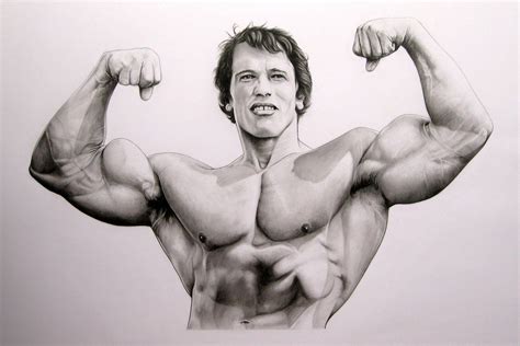 Arnold Schwarzenegger Bodybuilding Wallpapers Posters And Pictures - Wallpaper Cave