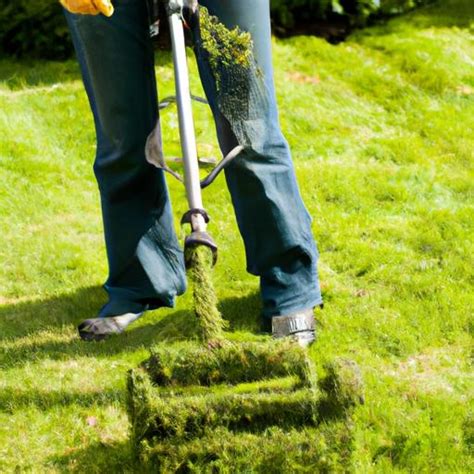 Weed Control Lawn Care: Achieving a Beautiful, Weed-Free Lawn