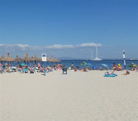 Palma Nova Beach (Palmanova): UPDATED 2019 All You Need to Know Before You Go (with PHOTOS)