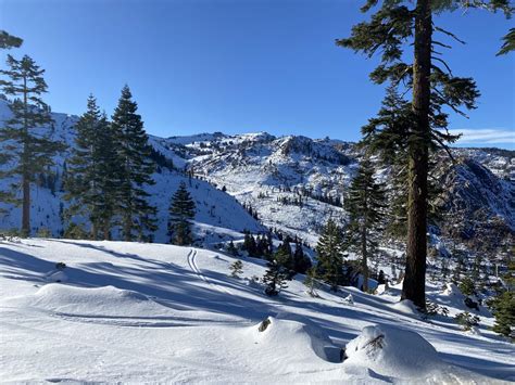 Squaw Valley, CA Report: East Winds, Chalky Snow, 159% of Average Snowpack - SnowBrains