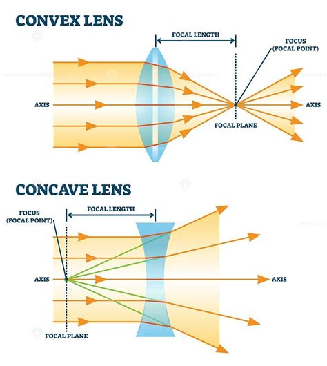 Description: Convex and concave lens, vector illustration diagrams. Labeled scheme with light ...