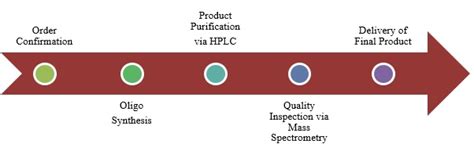 Modified Oligo Synthesis | Bio Basic Asia Pacific Pte Ltd