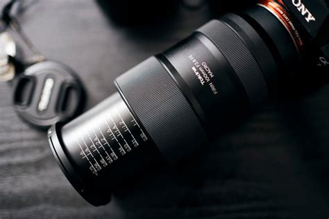 7 Affordable Macro Photography Lenses to Try While You’re Stuck Inside - GearOpen.com