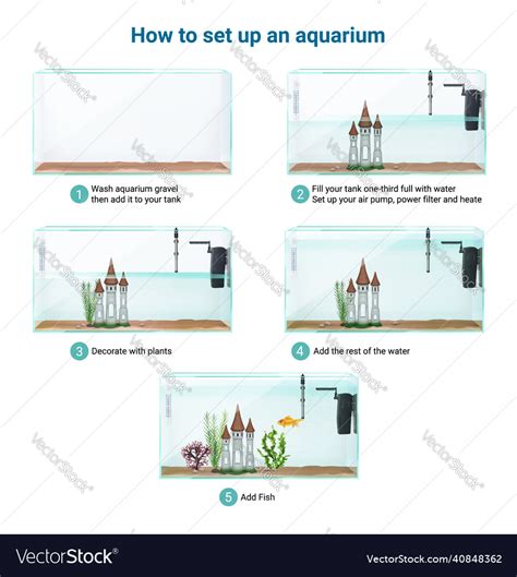 Aquarium setup realistic infographics Royalty Free Vector