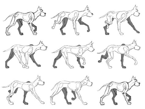 Animating a Quadruped ...