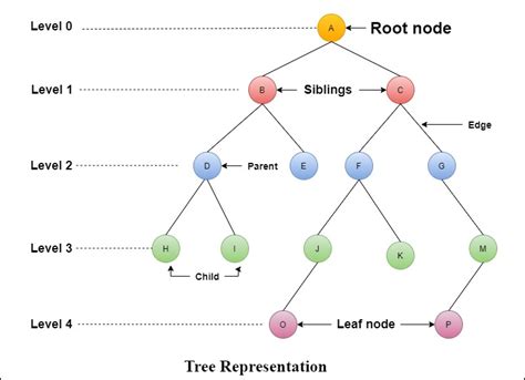 Tree in Data Structure - Tutorial And Example