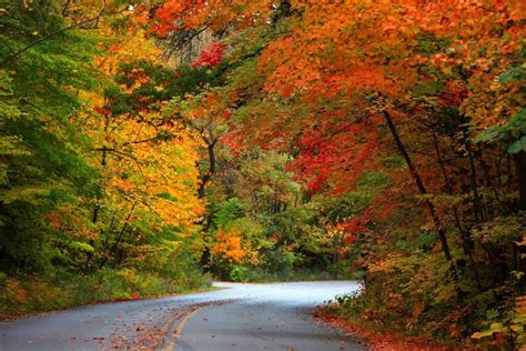 Take a ride to Michigan upper Peninsula and enjoy the fall colors. | Country roads, Scenic ...