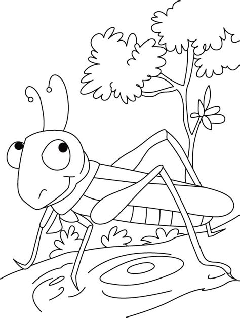 The Ant And The Grasshopper Coloring Pages