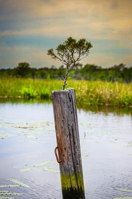 Great Pee Dee River - SC Picture Project