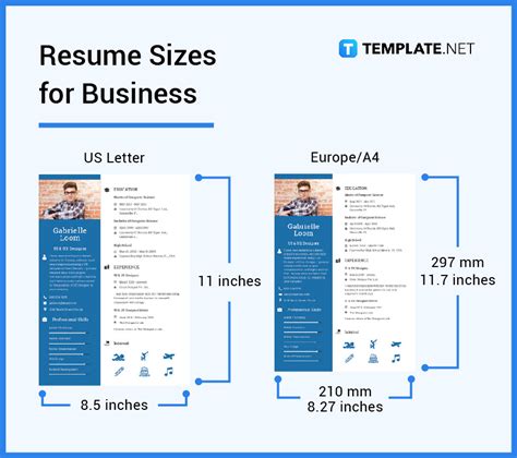 Resume Size - Dimension, Inches, mm, cms, Pixel | Free & Premium Templates