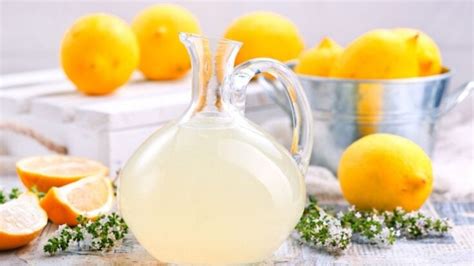 Is Bitter Lemon Good For You? [Safe For DAILY]