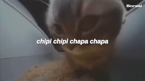 chipi chipi chapa chapa [tiktok] (Letra) - YouTube