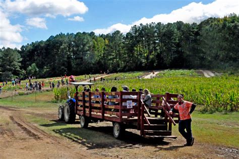 Hall Family Farm, pumpkins and hayrides