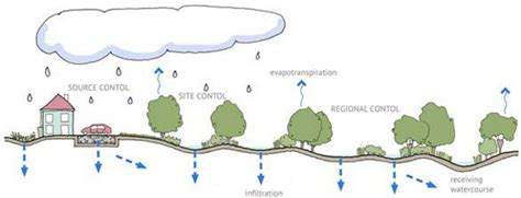 Systemic LID BMP Design: Managing the Annual Design Storm | DeepRoot Blog