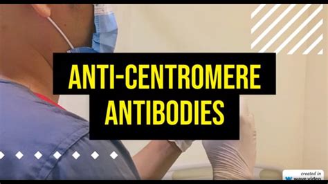 Anti-Centromere Antibodies Explained: What You Need to Know - YouTube