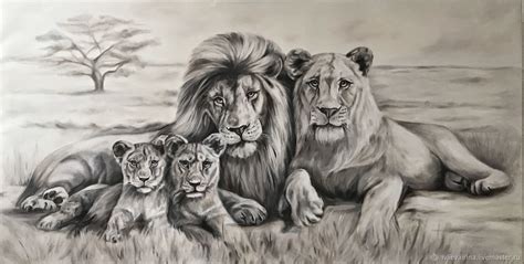 Lion Family Drawing at PaintingValley.com | Explore collection of Lion ...