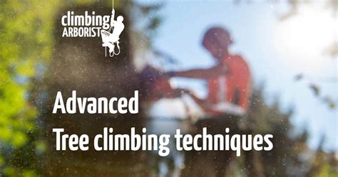 Advanced climbing techniques : ClimbingArborist.com