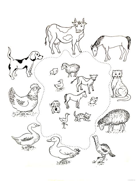 Farm Animals List A-z | yo-rice