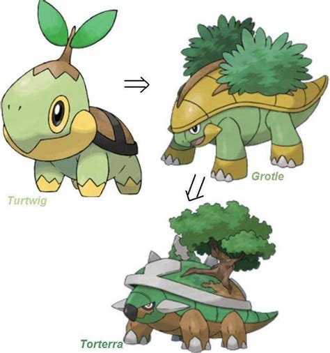 Turtwig Evolution | Ash pokemon, Pokemon starters, Pokemon