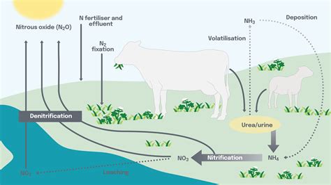 Alkalmatlan védelem Racionalizálás nitrous oxide greenhouse gas effects túl sok Lejárt lekérés