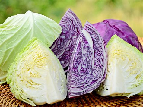 Cabbage Varieties In Zimbabwe - StartupBiz Zimbabwe