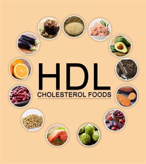 Healthy Food | Hdl cholesterol food, Lower cholesterol diet, Cholesterol foods