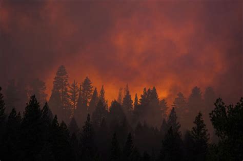 Enormous Forest Fires Devastate Yosemite National Park (20 pics) - Izismile.com