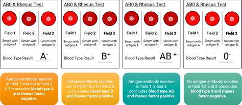 GenomSys - Our Blood and our Genes