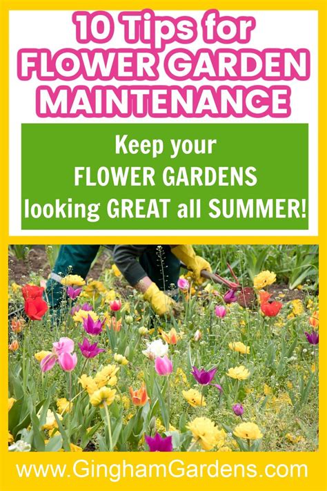 Flower Garden Maintenance Tips - Gingham Gardens | Garden maintenance ...