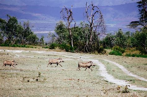 Wildlife Walk at Crater Lake | As Her World Turns