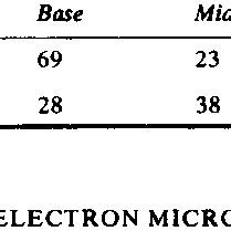 Distribution ofintraepithelial lymphocytes and polymorphs within the... | Download Table