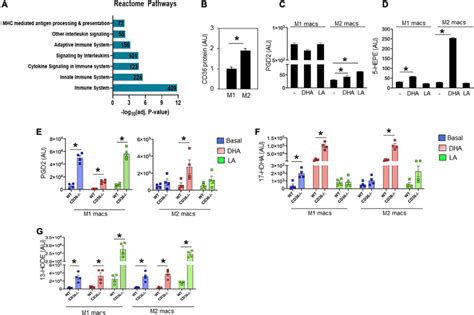 CD36 deletion associates with markers of inflammation in heart tissue... | Download Scientific ...