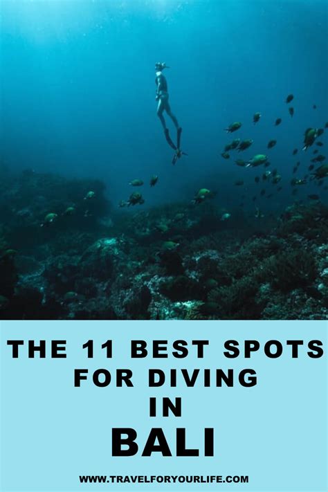 The 11 best spots for diving in Bali - Travel for Your Life