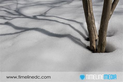 Tech Thursday – Snow Melting! - TimeLine Media Blog