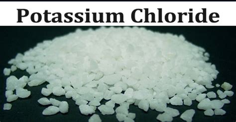 Potassium Chloride - Assignment Point