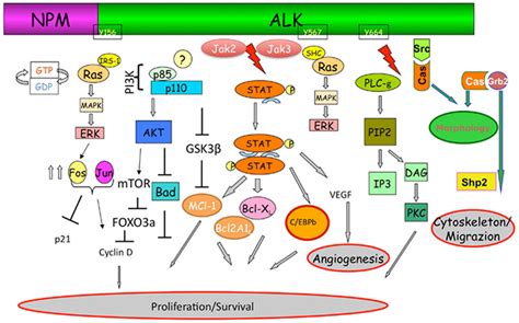 Frontiers | A Systemic Review of Resistance Mechanisms and Ongoing ...